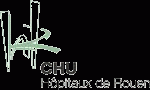 logo_CHU_CISMeF.gif